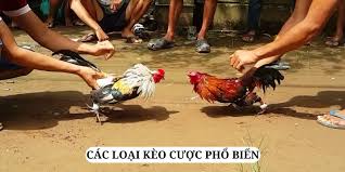 Các loại kèo cược đá gà trên VZ99